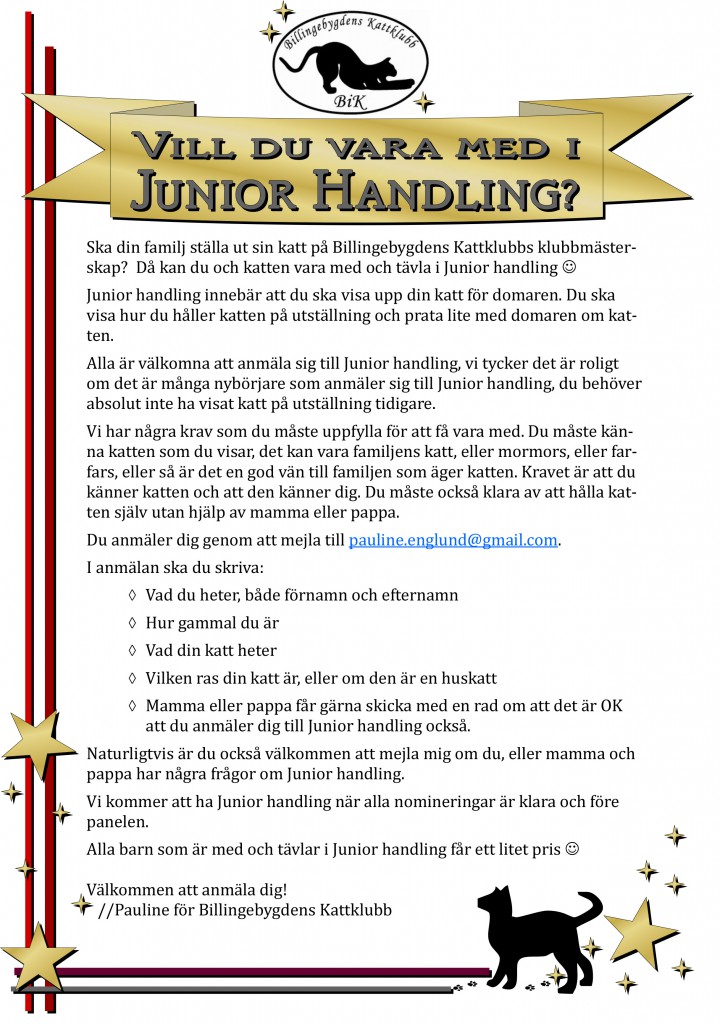 km2014_juniorhandling