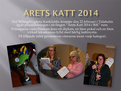 2015aretskatt