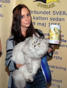 Mr Skara: Sibiriska katten S*Magica De Vil´s Vassi af Alabor. Ägare Sanna Stålberg