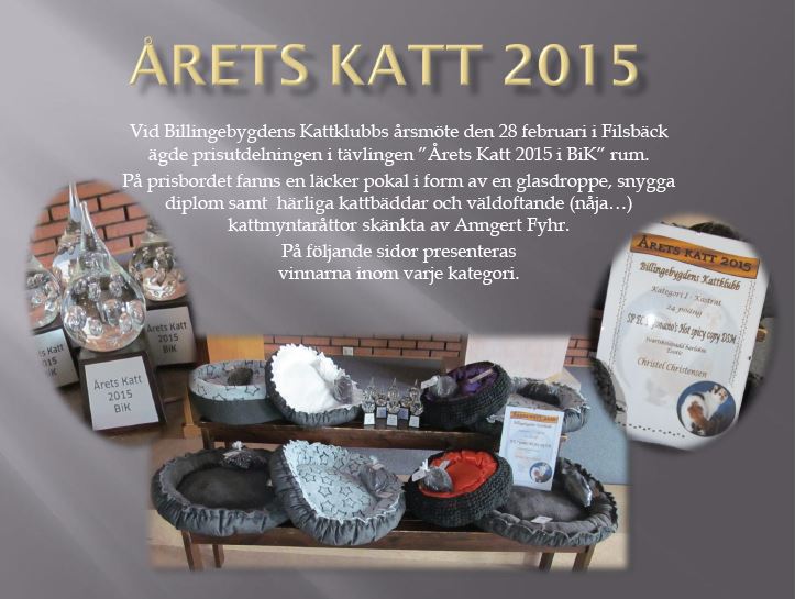 2016aretskatt